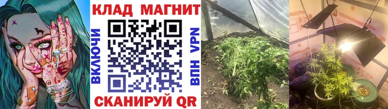 Где найти наркотики Тосно АМФЕТАМИН  блэк спрут как войти  ГАШИШ  ГЕРОИН  Альфа ПВП  Меф 