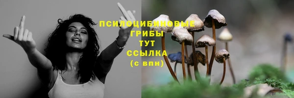 прущие крисы Бугульма