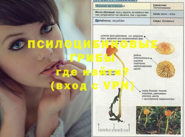 винт Тында