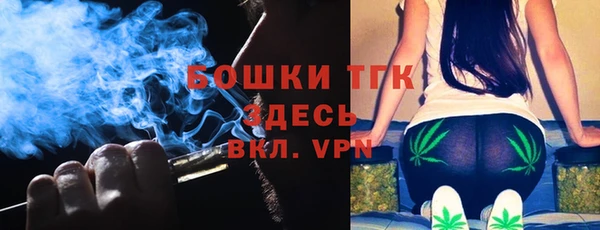 ECSTASY Бородино