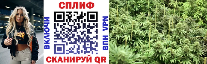 МАРИХУАНА конопля  Тосно 